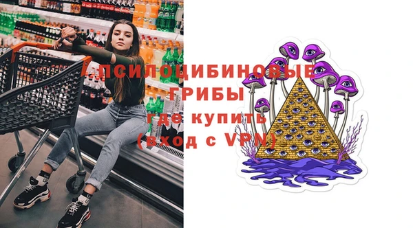 Альфа ПВП Армянск